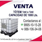 Imagen11