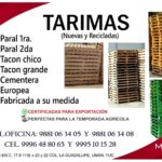 tarimas